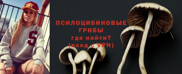 твердый Вяземский