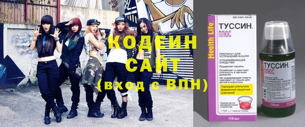 твердый Вяземский