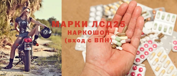 прущие грибы Володарск