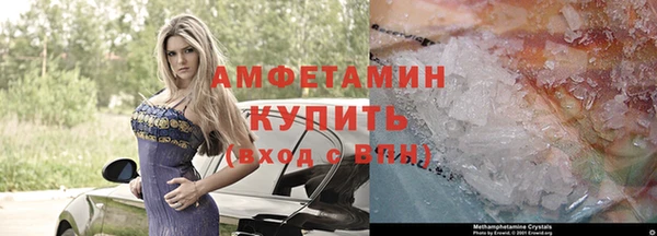 твердый Вяземский