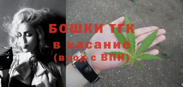 твердый Вяземский