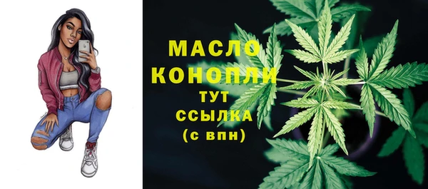 твердый Вяземский