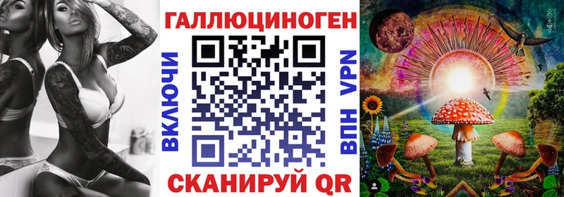 Купить где Медвежьегорск Галлюциногенные грибы Psilocybine cubensis